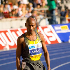 Bernard Lagat