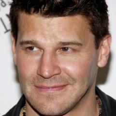 David Boreanaz