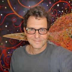 Fred Tomaselli