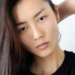 Liu Wen